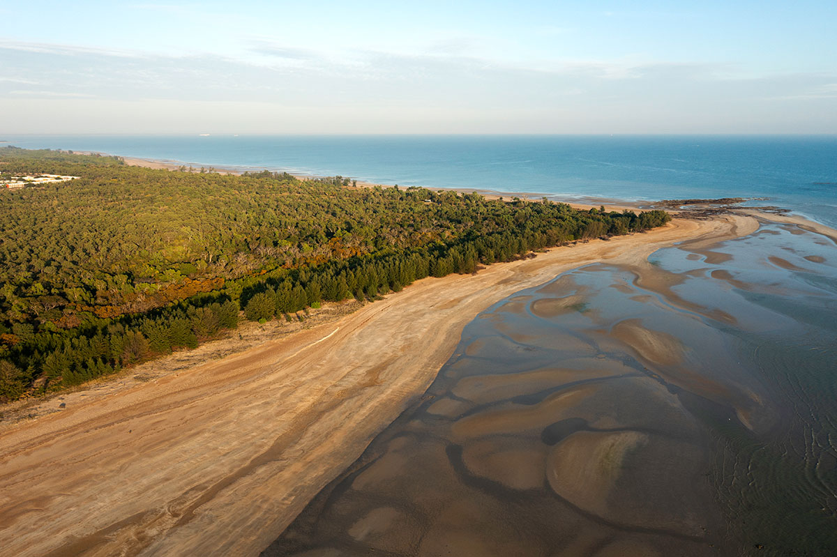 Casuarina Coastal Reserve is growing