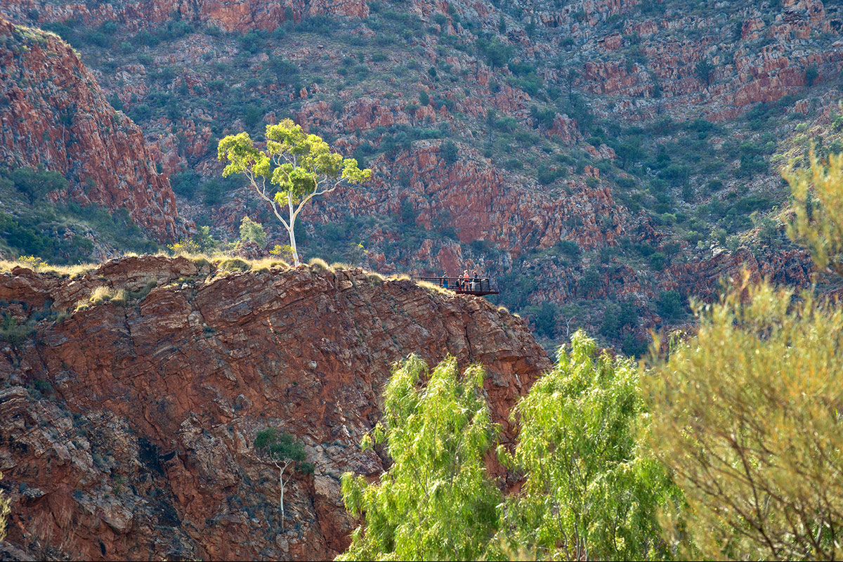 Territory Parks Alive!