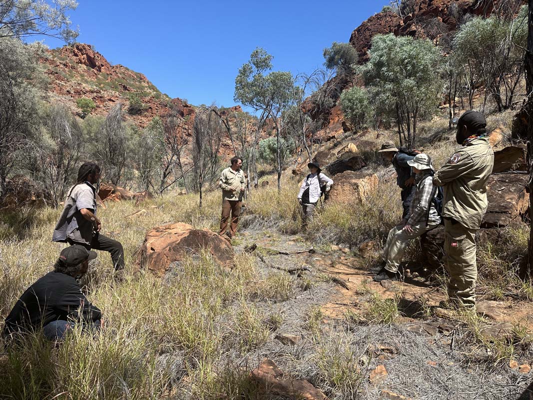 On-ground feasibility assessment for Buffel Grass management in targeted threatened species areas