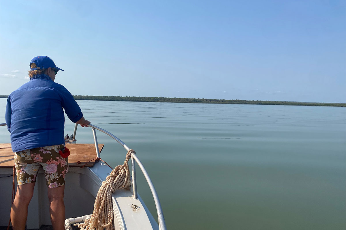 Marine megafauna survey underway.