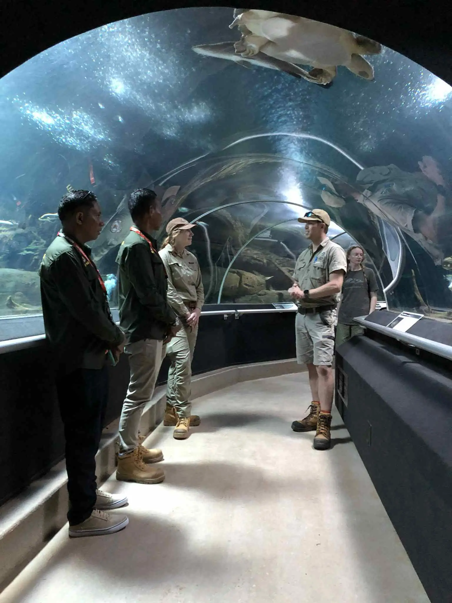 Interns enjoying a tour of the aquarium